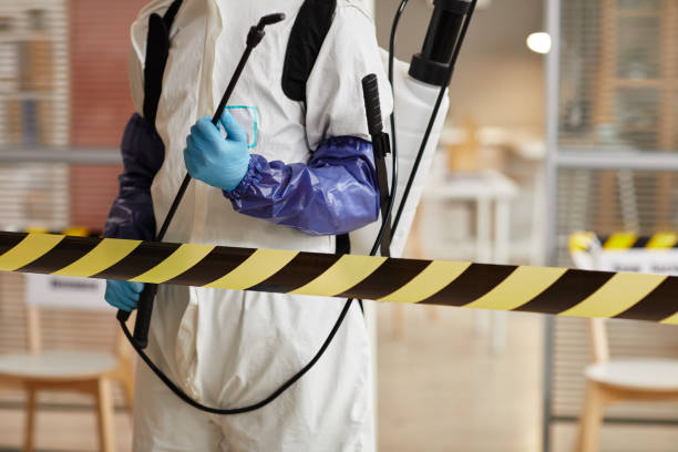 Professional Sewage Cleanup technician working in Cutler, IN